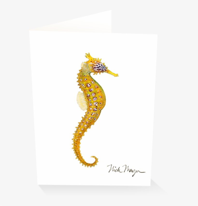 Pacific Seahorse I - Seahorse, transparent png download