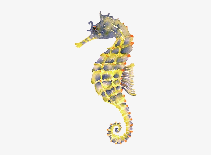 Bleed Area May Not Be Visible - Pink Yellow Seahorse, transparent png download