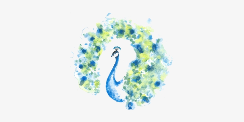 Avsara Avsara Avsara Avsara - Peafowl, transparent png download