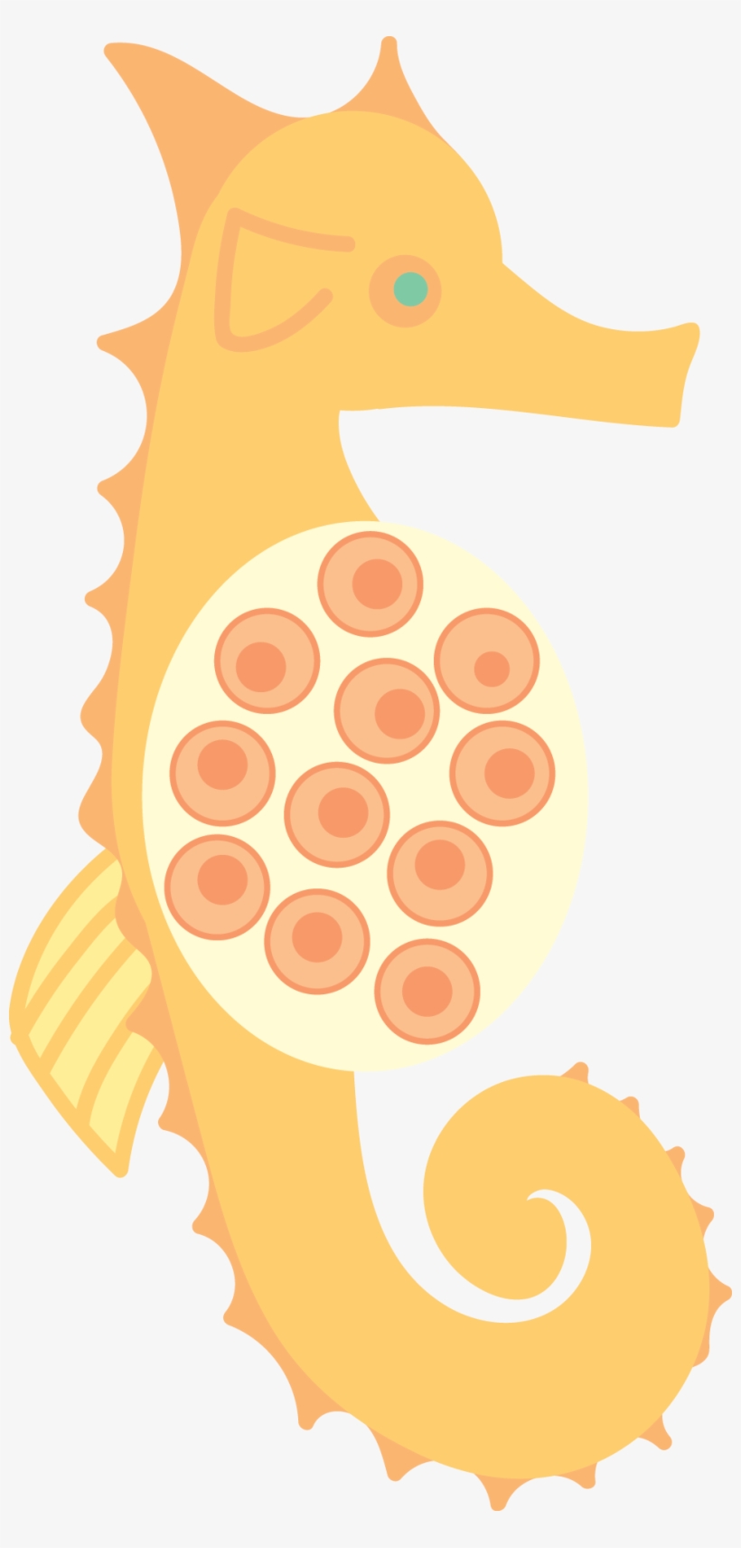 Seahorse - Portable Network Graphics, transparent png download