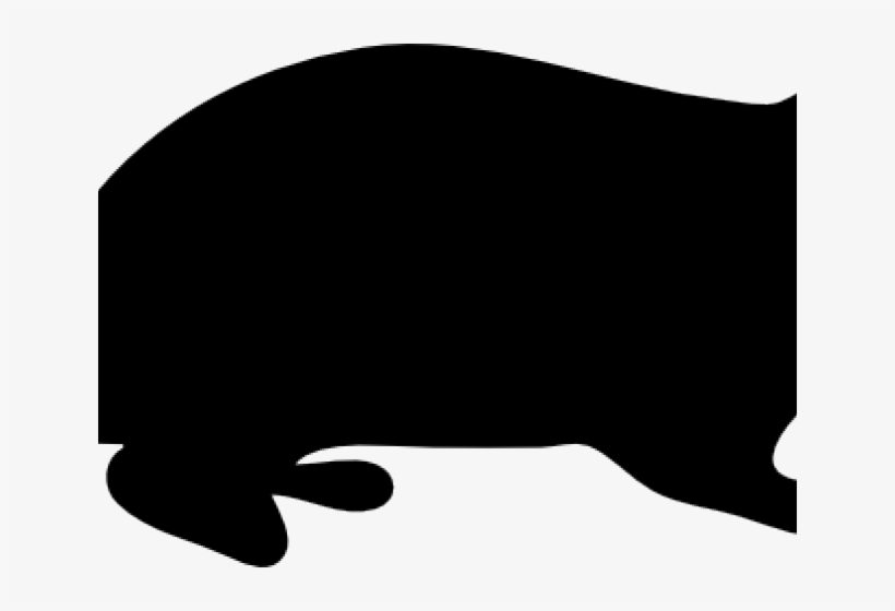 Fish, transparent png download