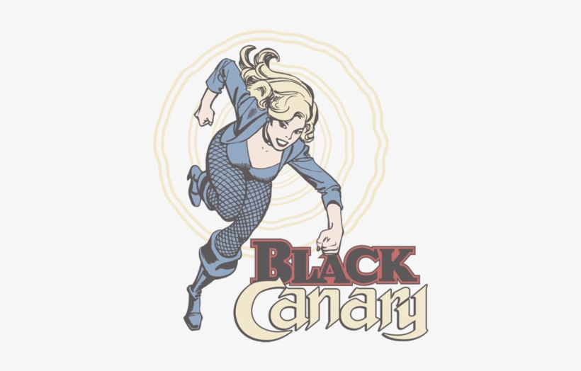 Dc Comics Black Canary Men's Regular Fit T-shirt - Women Of Dc Comics, transparent png download
