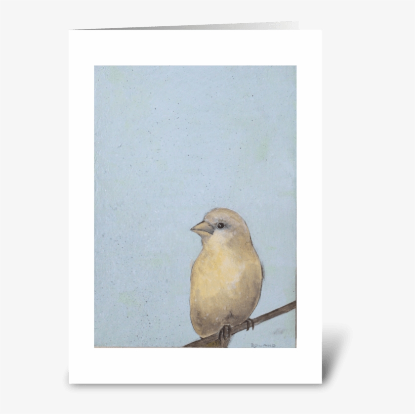 Canary On Blue Greeting Card - Old World Flycatcher, transparent png download