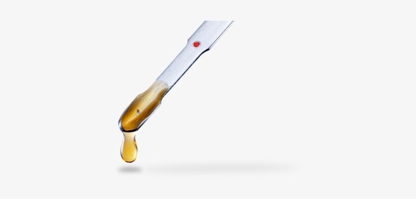 Oil Change - Oil Change Png Transparent, transparent png download