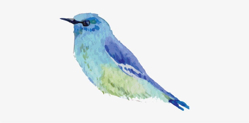 Star Of David Bracelet - Mountain Bluebird, transparent png download