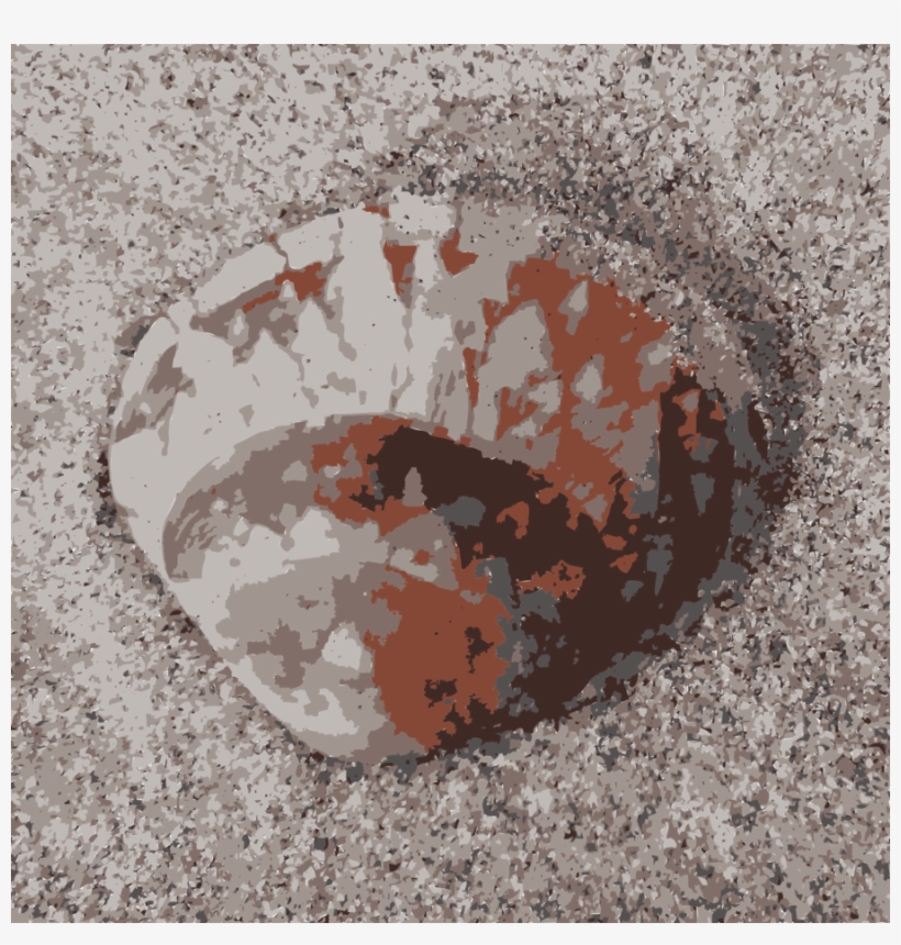 Download Fractal Clipart Fractal Sanibel Seashell - Shell Beach, transparent png download