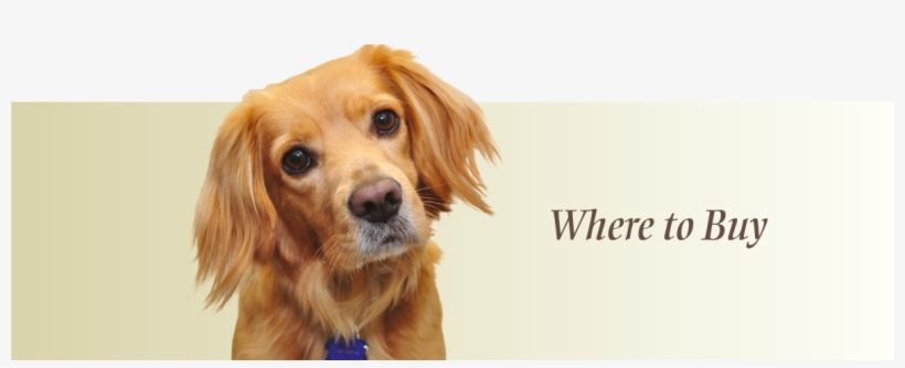 Charlee Bear Dog Treats And Bear Crunch Treats - Companion Dog, transparent png download