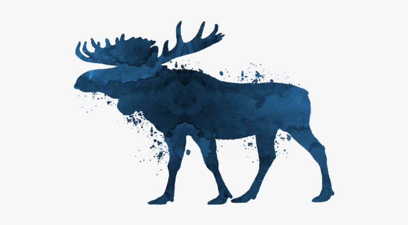 Bleed Area May Not Be Visible - Rainbow Moose, transparent png download