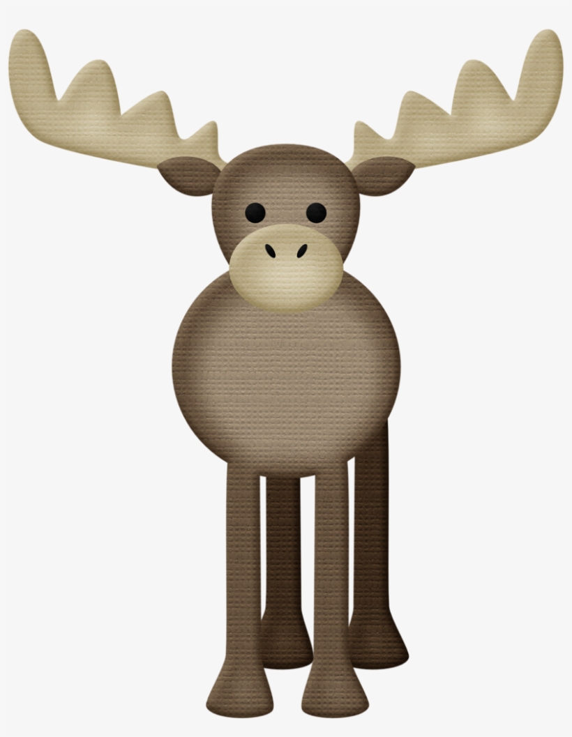 Aw Woodland Png Pinterest Zoos And Album - Woodland, transparent png download