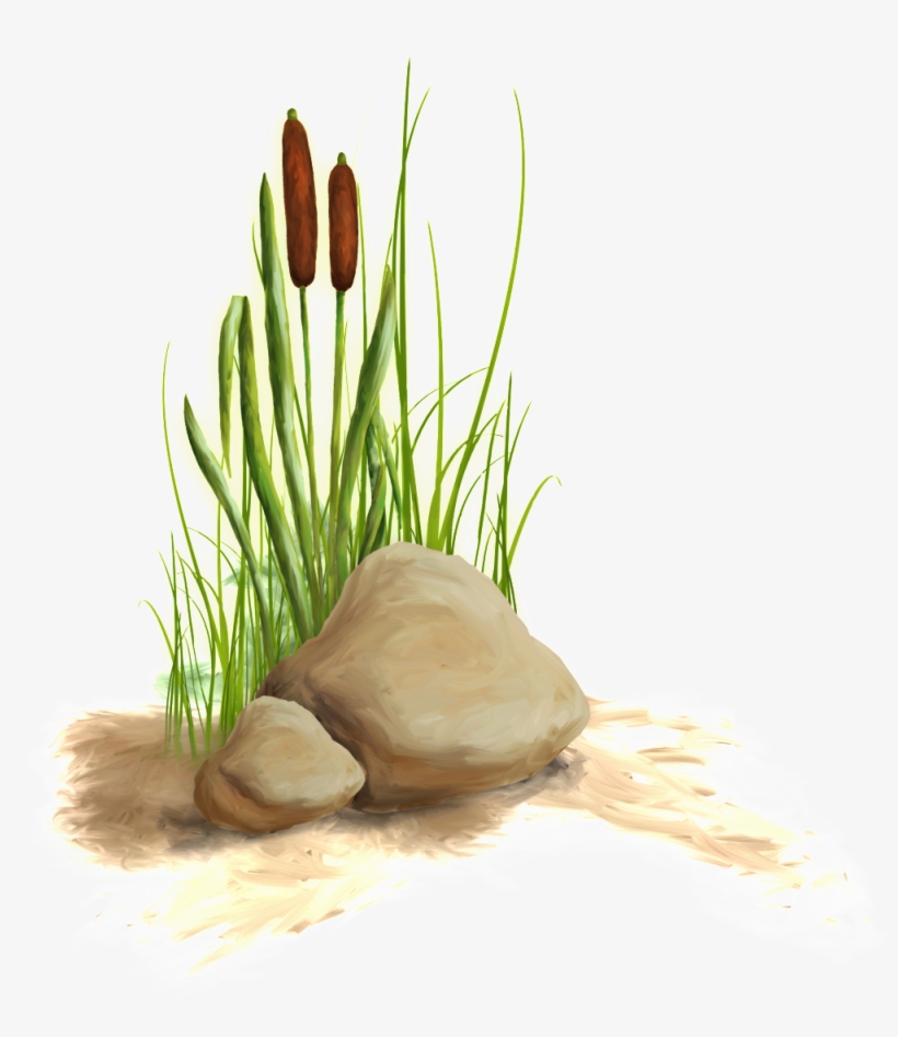 The Transparent Material Of The Flower And Grass In - Portable Network Graphics, transparent png download