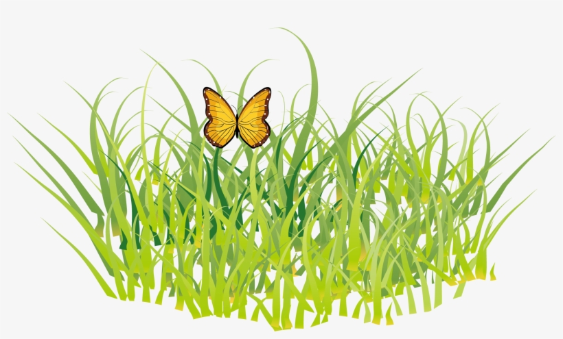 Butterfly Grass Gis - Golf Ball Clipart Transparent Background, transparent png download