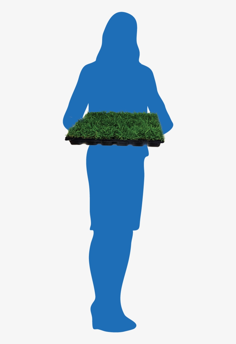 Silhouette, transparent png download