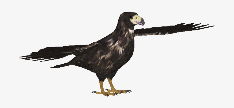 Spanishimperialeaglecj - Spanish Imperial Eagle Picture Transparent Real, transparent png download