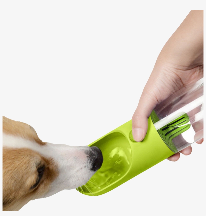 Next - Pet Water Bottle, transparent png download