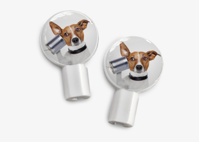 Pair Of Apple Earbud Covers - Comprendere Il Pensiero Dei Cani. Cosa Pensa Il Miglior, transparent png download