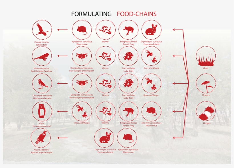 El Camino De Nava De La Asunción - Colorfulness, transparent png download