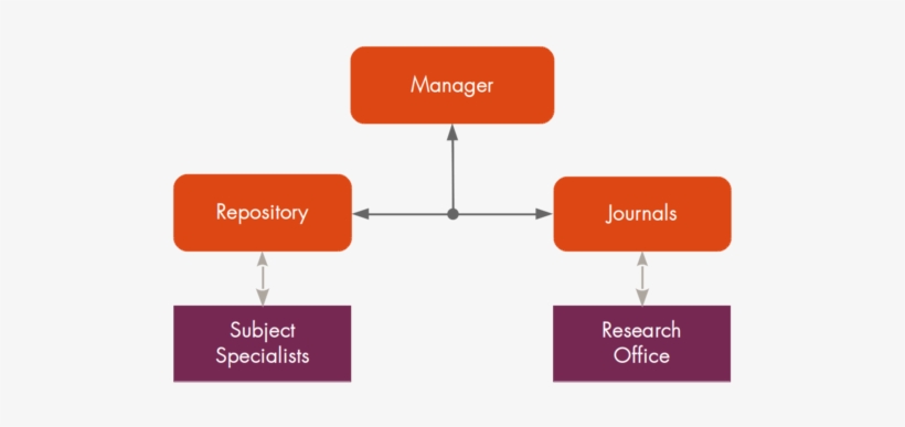 Rr Organogram Ops - Organogram Of A Special Library, transparent png download