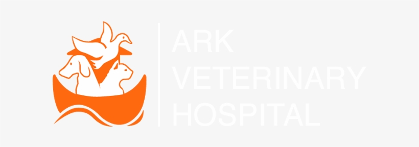 Ark Veterinary Hospital - Happy Anniversary Lol, transparent png download