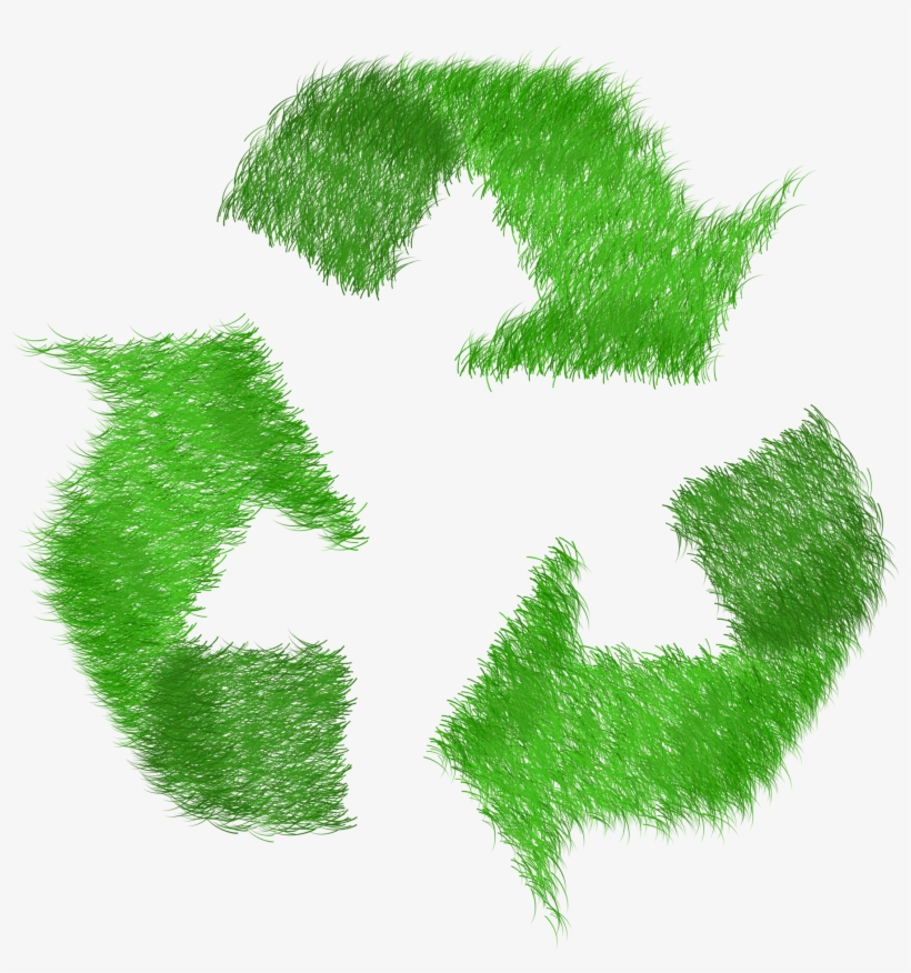 Participating 7 Eleven's Are Now Offering A Reusable - Ecologico Png, transparent png download