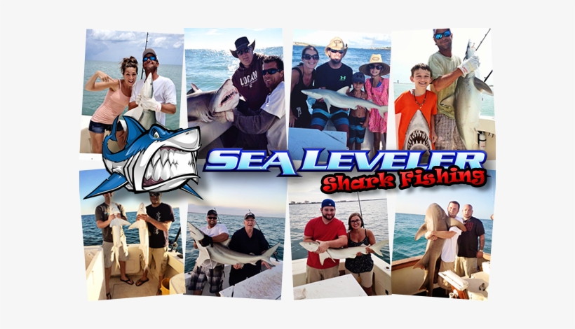 Florida Shark Fishing Experience - Florida Cocoa Beach Shark Fishing, transparent png download