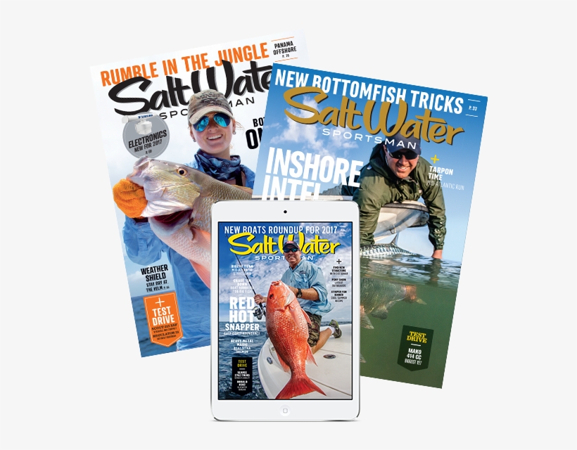 Subscribe To Salt Water Sportsman - Pull Fish Out Of Water, transparent png download