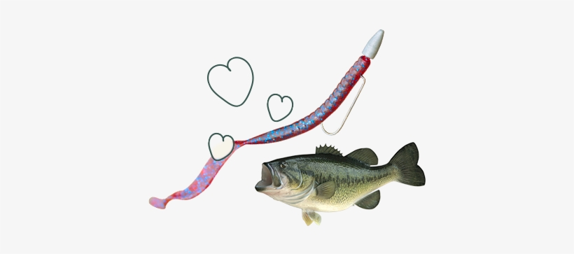 Lures And Tackle - Mystery Tackle Box, transparent png download