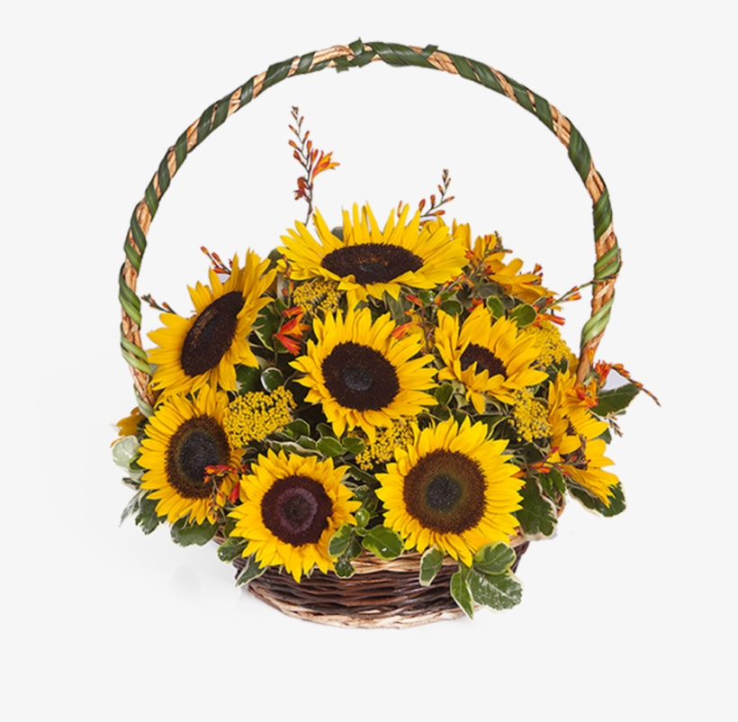Canasta De Girasoles Png, transparent png download