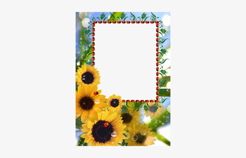Girasoles Para Usted - Marcos Para Fotos De Girasoles, transparent png download