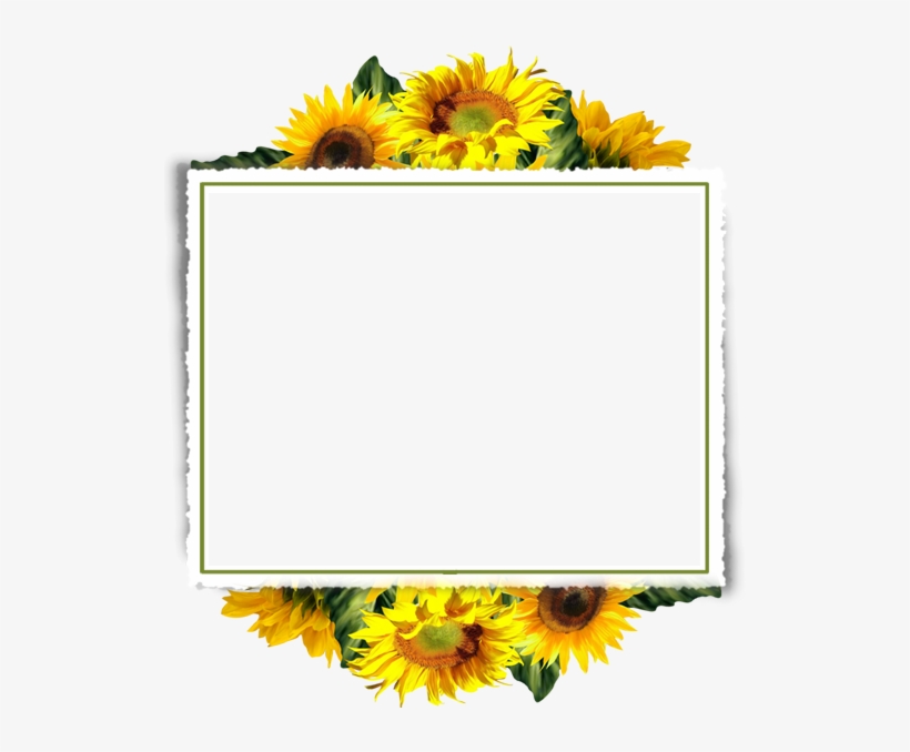 Sunflower Border Design Png PNG Image Transparent PNG Free Download
