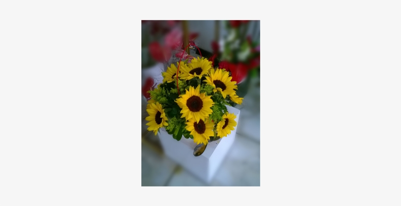 Re-08 Arreglo Redondo De Girasoles - Bouquet, transparent png download