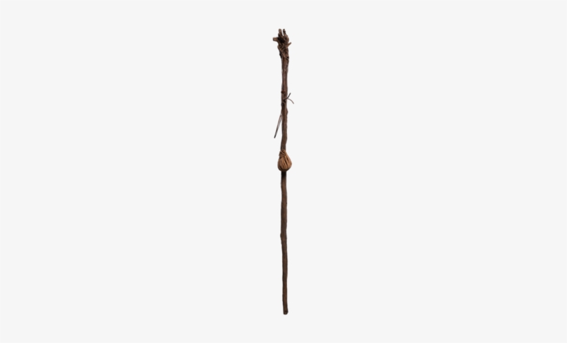 Wood, transparent png download