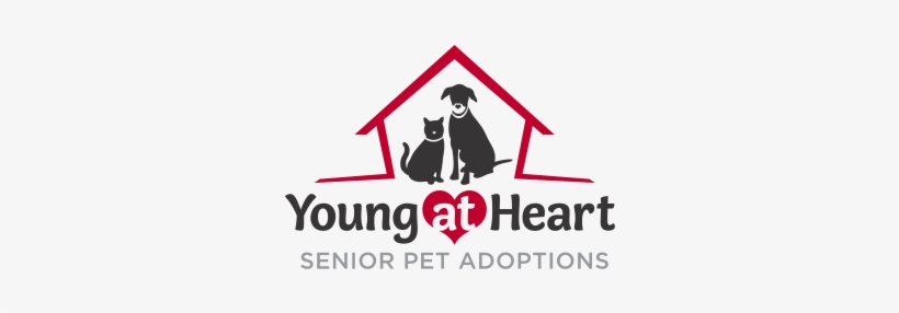 Young At Heart Pet Rescue Young At Heart Pet Rescue - Young At Heart Pet Rescue, transparent png download