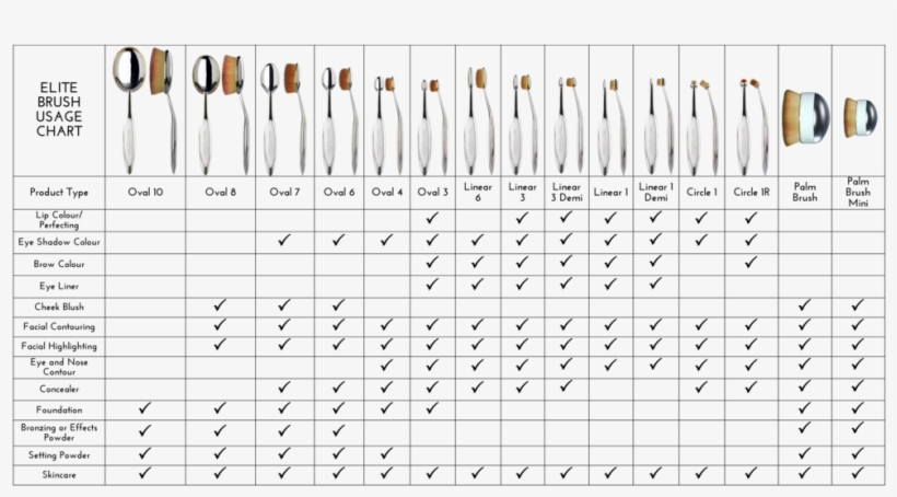 Artis Brush And Product Usage Table For Website 3 28 - Artis Palm Brush, transparent png download