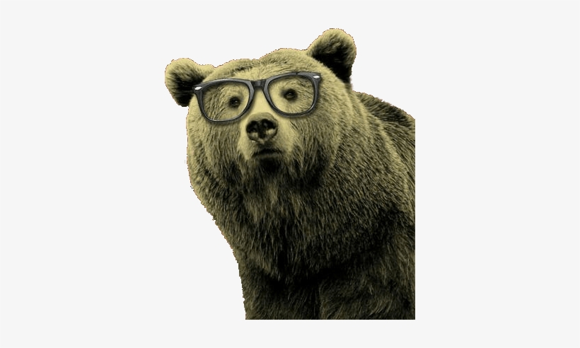 Pg24mvp - Grizzly Bear With Glasses, transparent png download
