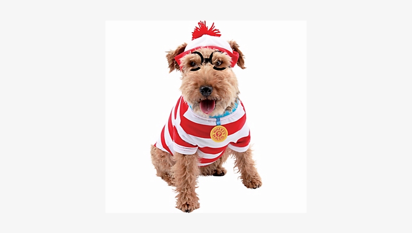 Halloween Costume - Dog Costume, transparent png download