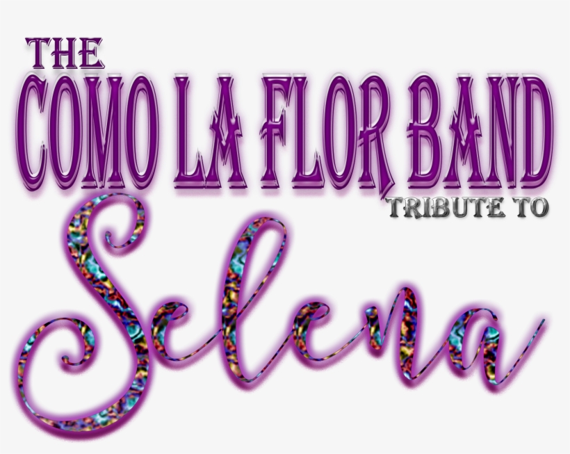 Photo Gallery - Graphic Design, transparent png download