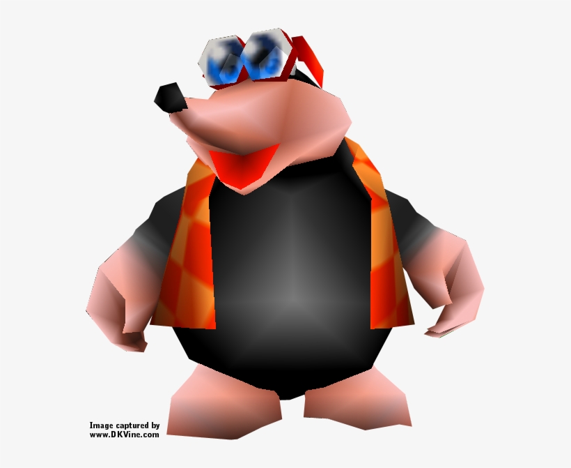 Banjo-kazooie - Bottles From Banjo Kazooie, transparent png download