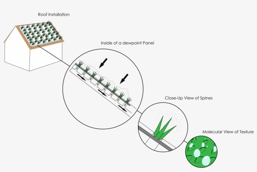 Diagramfinal - Fog Catcher Design, transparent png download