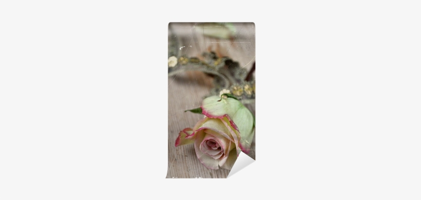 Garden Roses, transparent png download