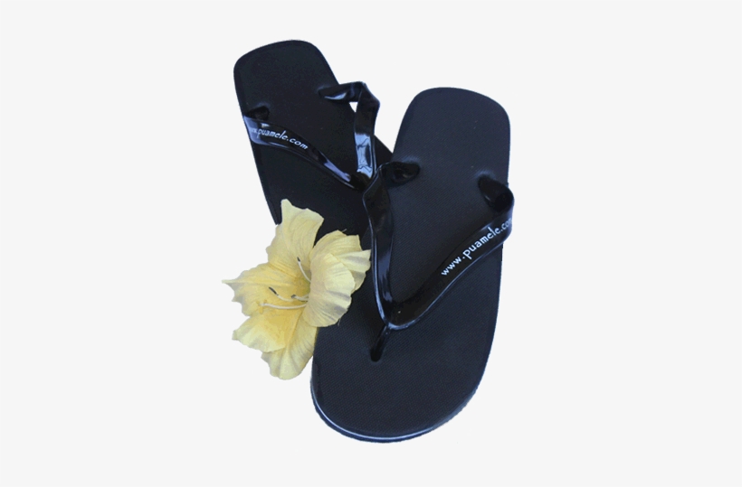 Accessories - Flip Flop, Pua Mele Branded Slippah, transparent png download