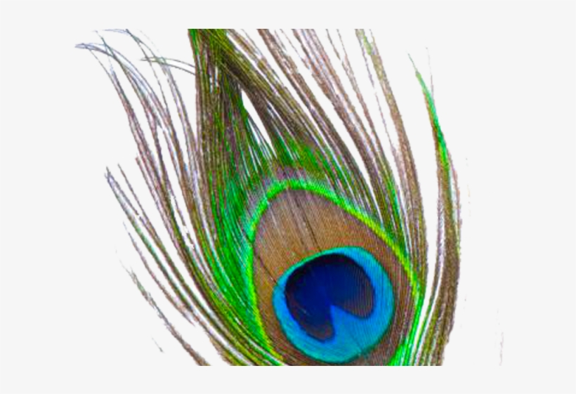 Flute Clipart Peacock Feather - Flute With Peacock Feather Png, transparent png download