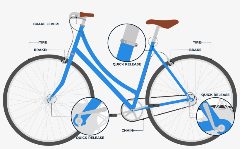 A Graphic Of A Bike Highlighting The Various Parts - Bicycle Class Lever, transparent png download