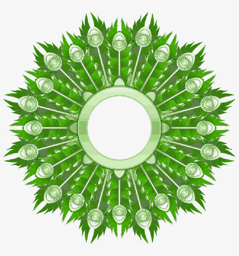 Mb Image/png - Feather, transparent png download