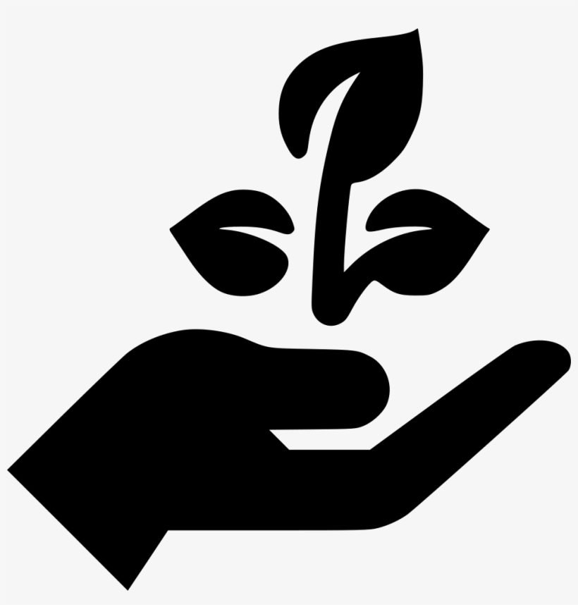 Hand Seedling Plant Grow Comments - Icon Sprout, transparent png download