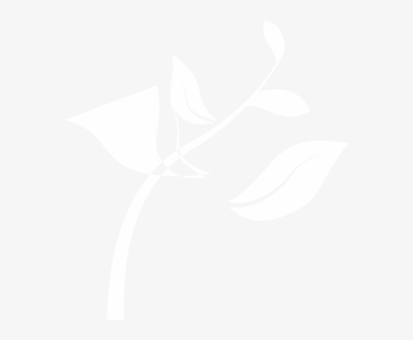 Small - White Seedling Png, transparent png download