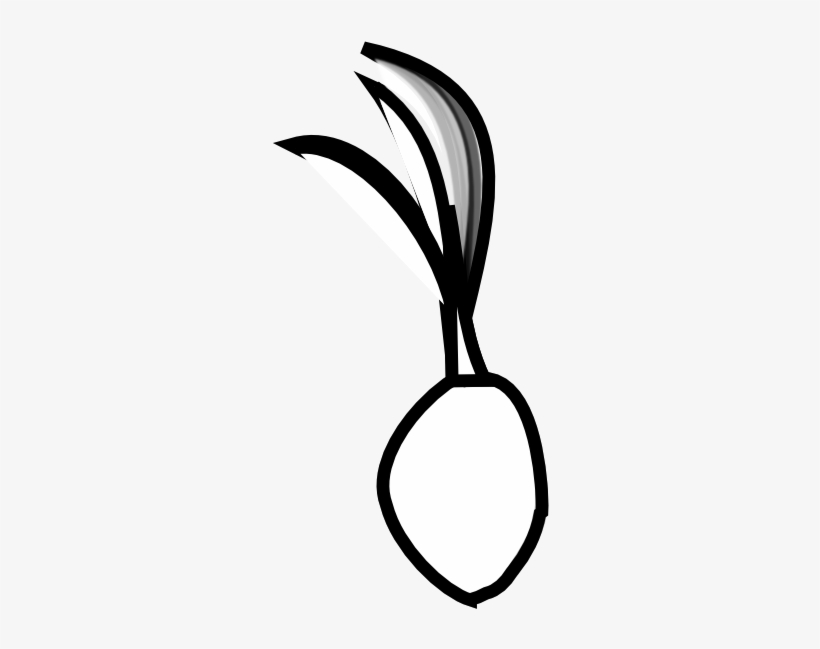 Seed - Coconut Seed Clip Art Black And White, transparent png download