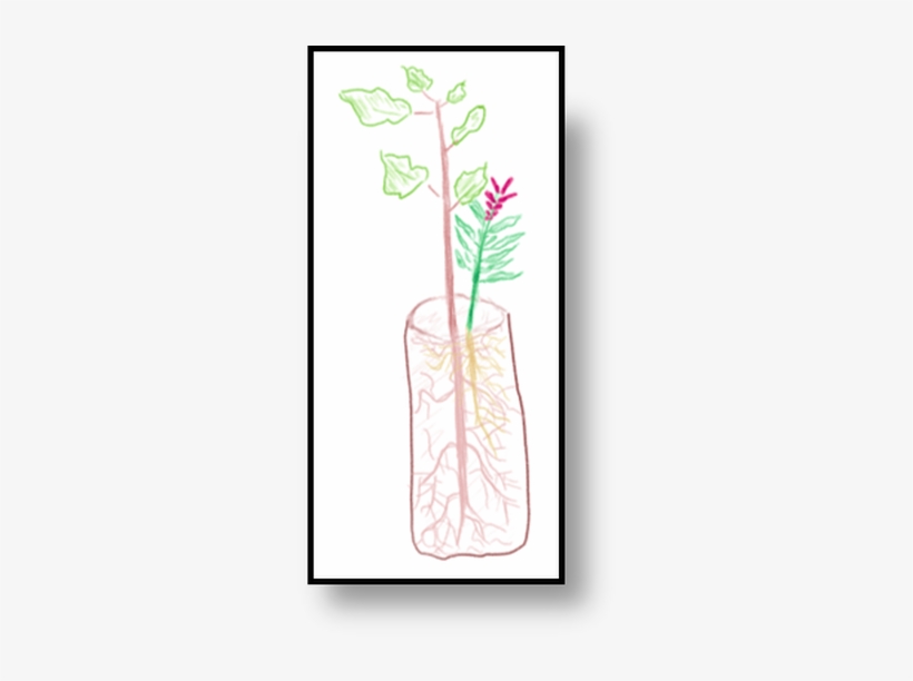 Sketch, transparent png download