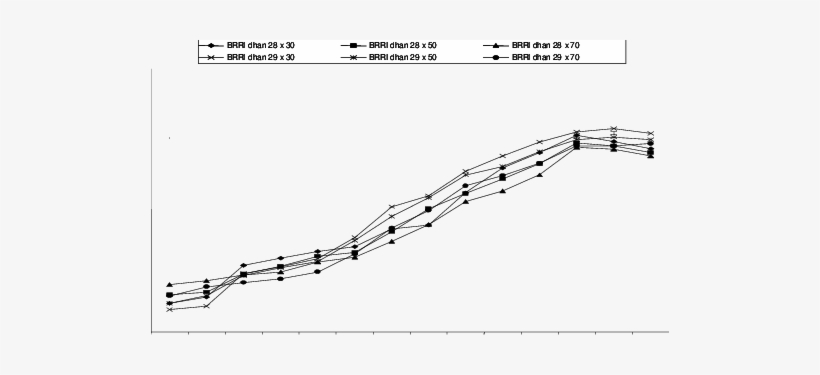 Interaction Effect Of Cultivar And Age Of Seedling - Line Art, transparent png download