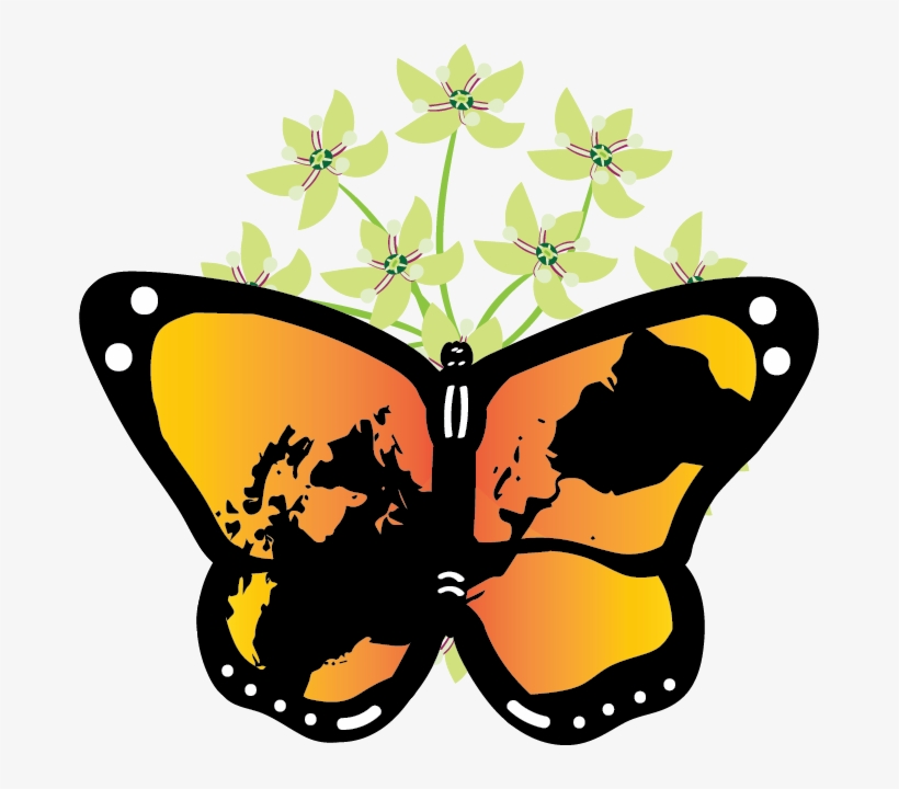 Monarchandmilkweed2 - Monarch Butterfly, transparent png download