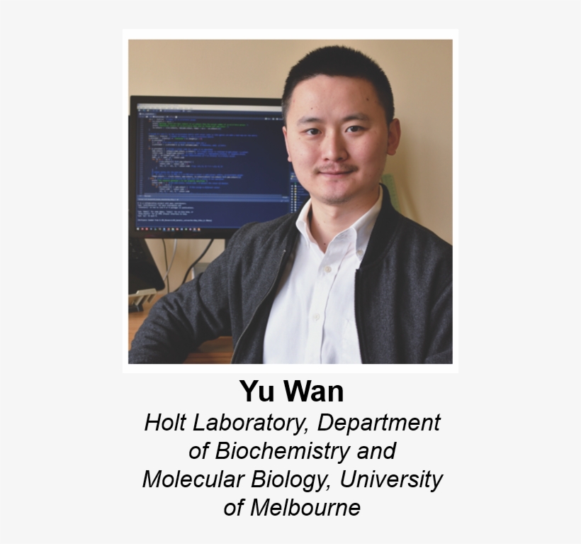 Event Flyer - Photo Caption, transparent png download